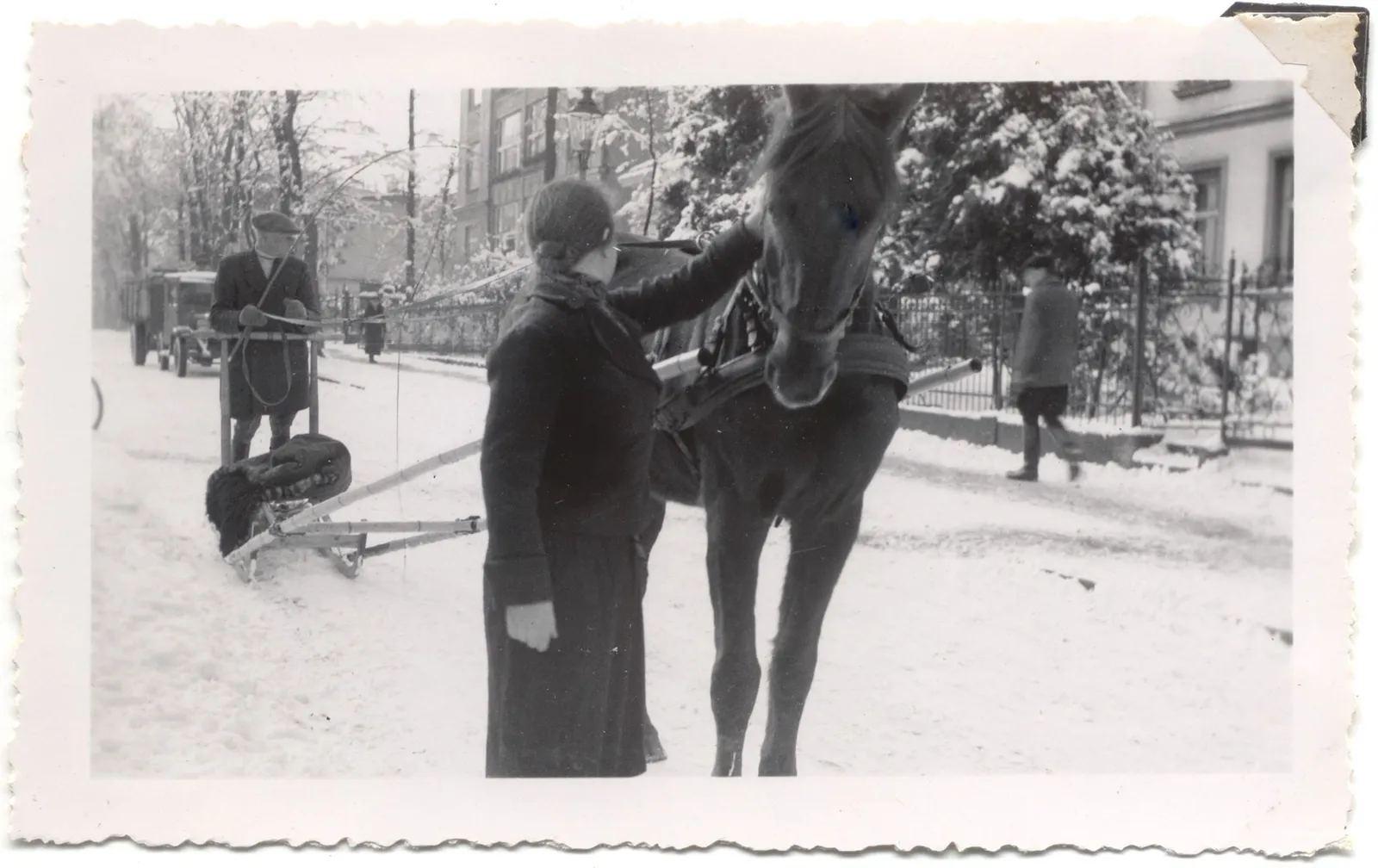 Kamienica zimą, ok. 1930: sanie na ulicy, za drzewami pion przeszklonych balkonów (Muzeum Sopotu)